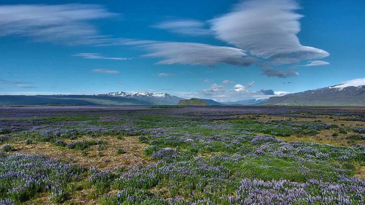 Hotel Selja Hvolsvöllur Exteriör bild